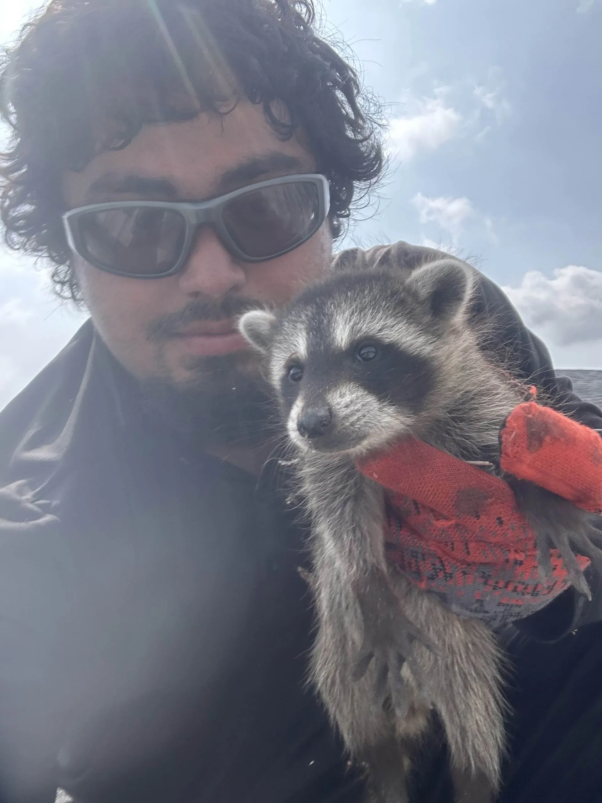 Wildlife Removal