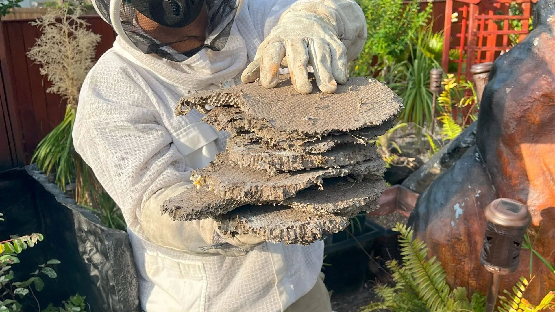 Zappers removing a hornet nest